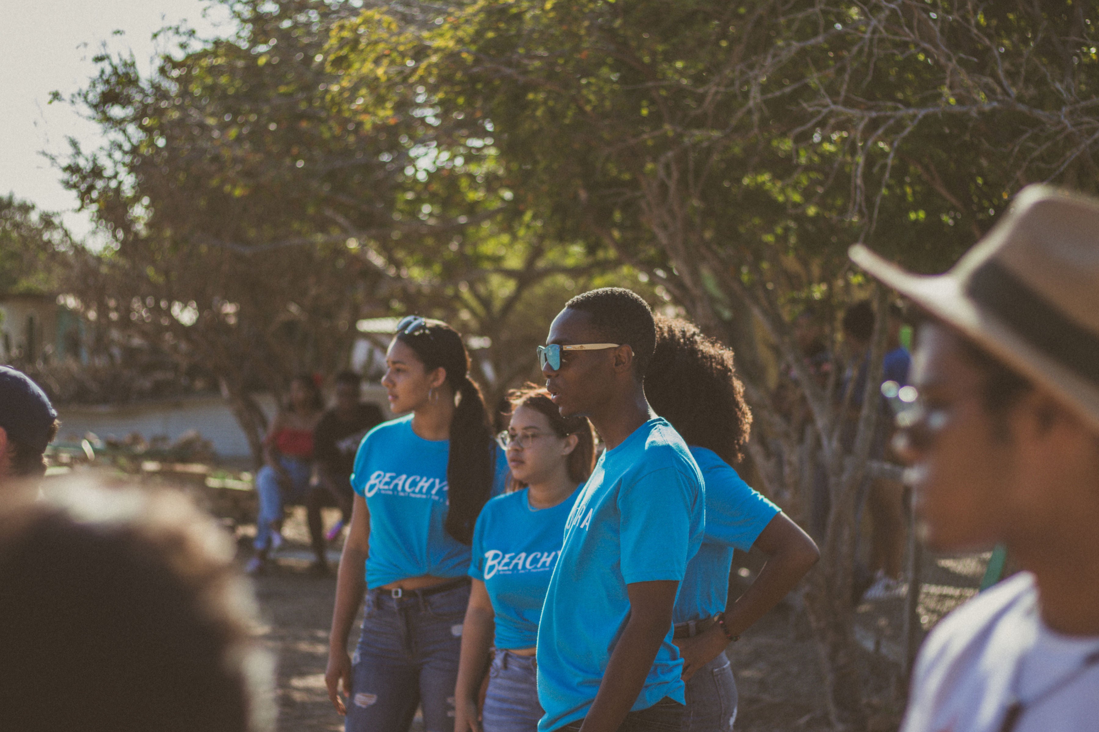 Image Title Alt Image